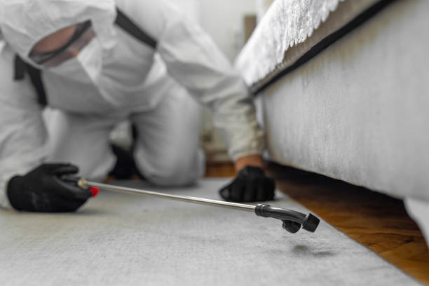 Professional Fumigation Services technician working in Mill Neck, NY